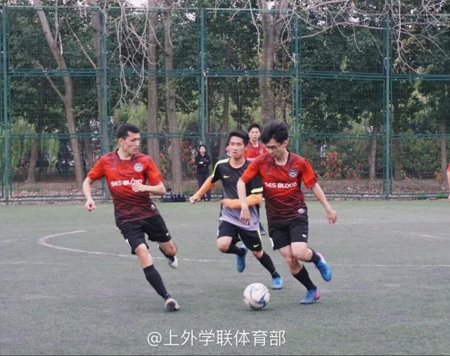 泊头垒球台球厅图片